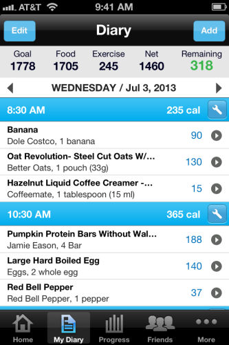 example of my fitness pal food diary 
